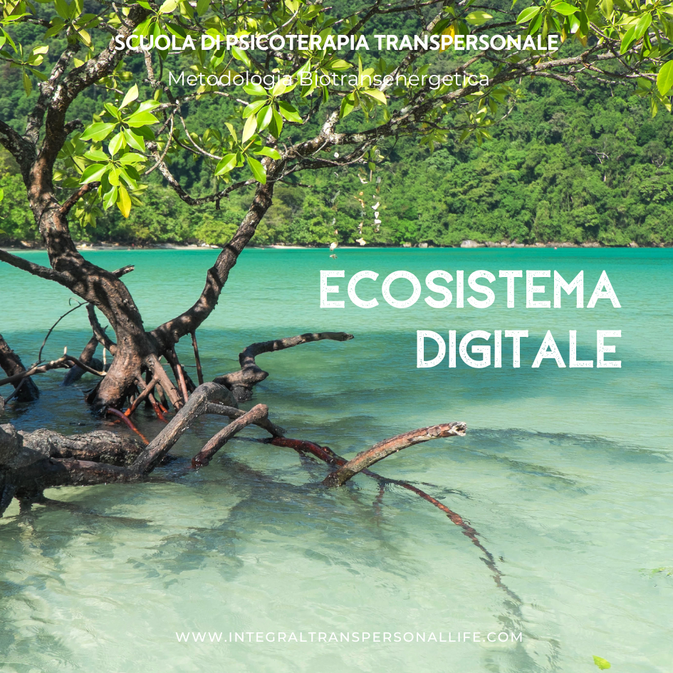 Ecosistema digitale sfpt